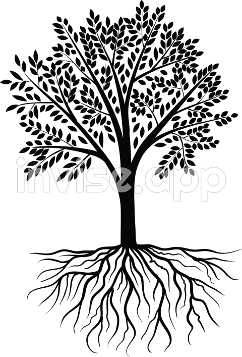 Tree Vector Transparent Tree Vector Images Plus - Tree Picture Clip Art Black And White